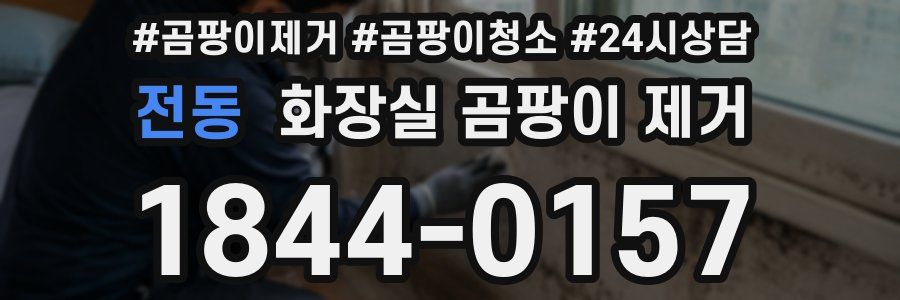 전동 화장실 곰팡이 제거