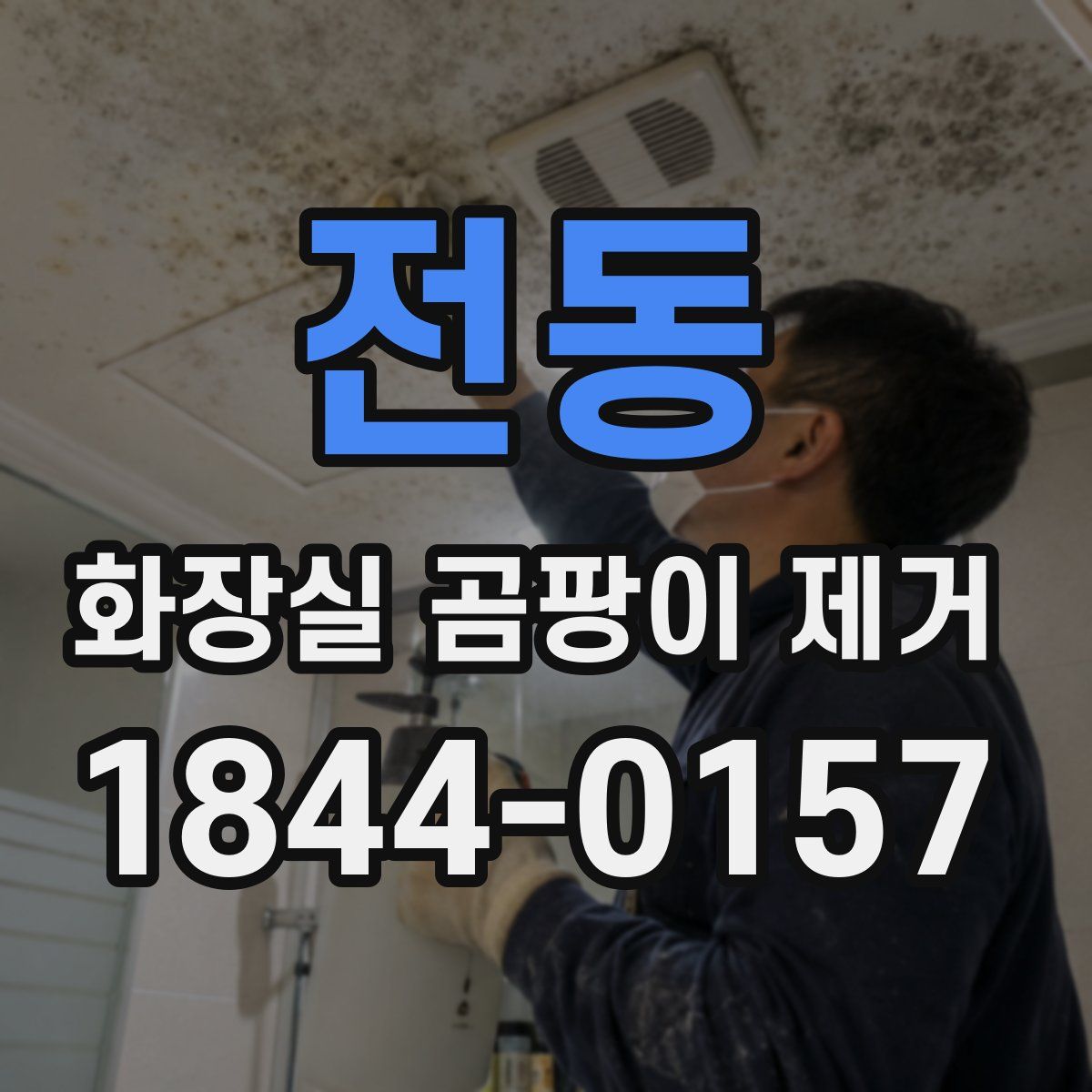 전동 화장실 곰팡이 제거
