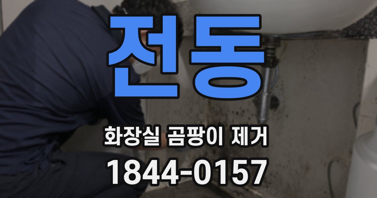전동 화장실 곰팡이 제거