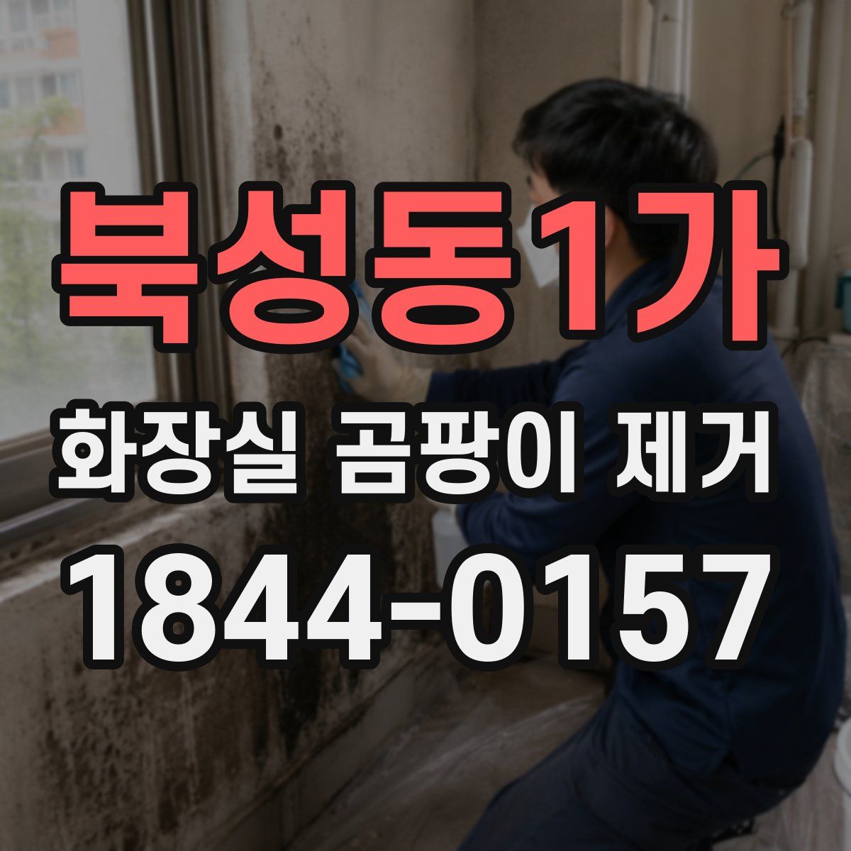 북성동1가 화장실 곰팡이 제거