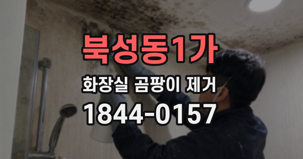 북성동1가 화장실 곰팡이 제거