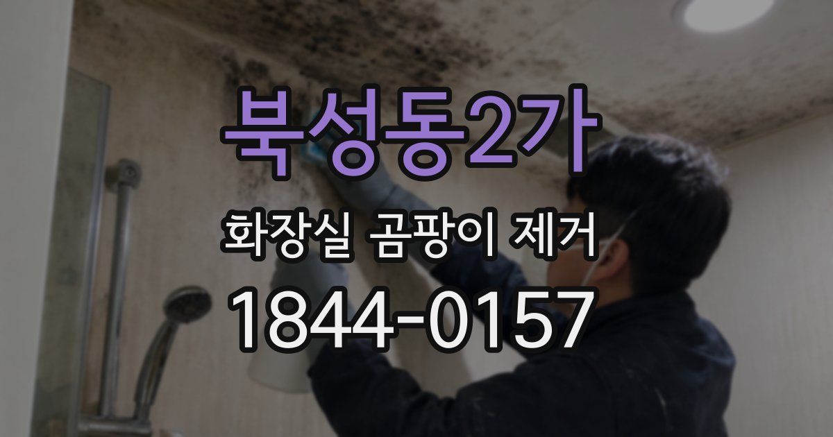 북성동2가 화장실 곰팡이 제거