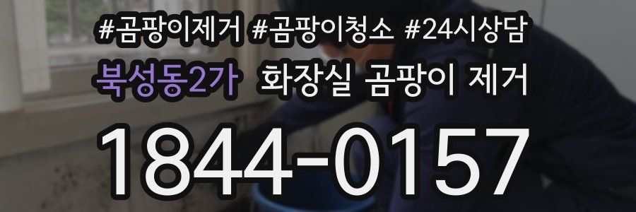 북성동2가 화장실 곰팡이 제거
