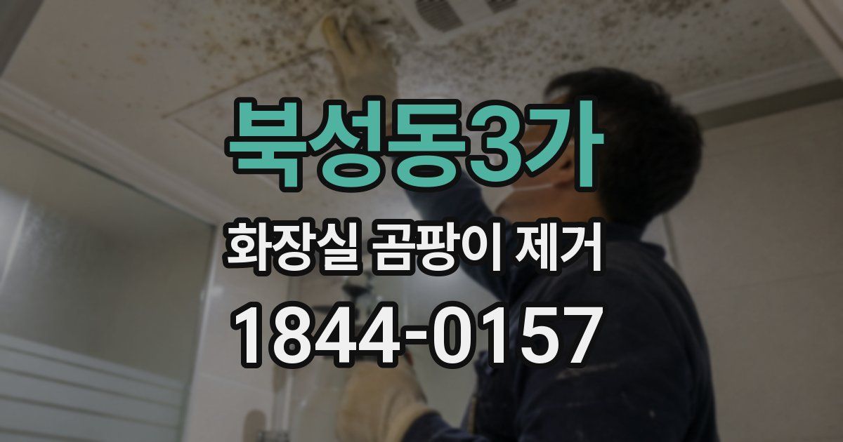 북성동3가 화장실 곰팡이 제거