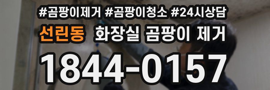 선린동 화장실 곰팡이 제거