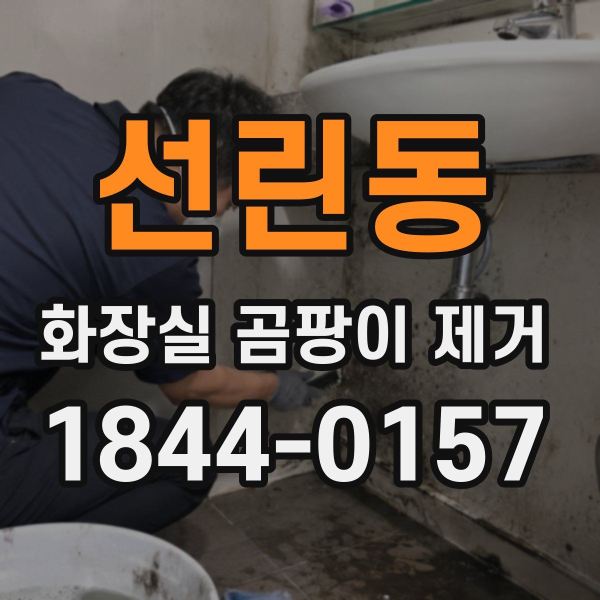 선린동 화장실 곰팡이 제거