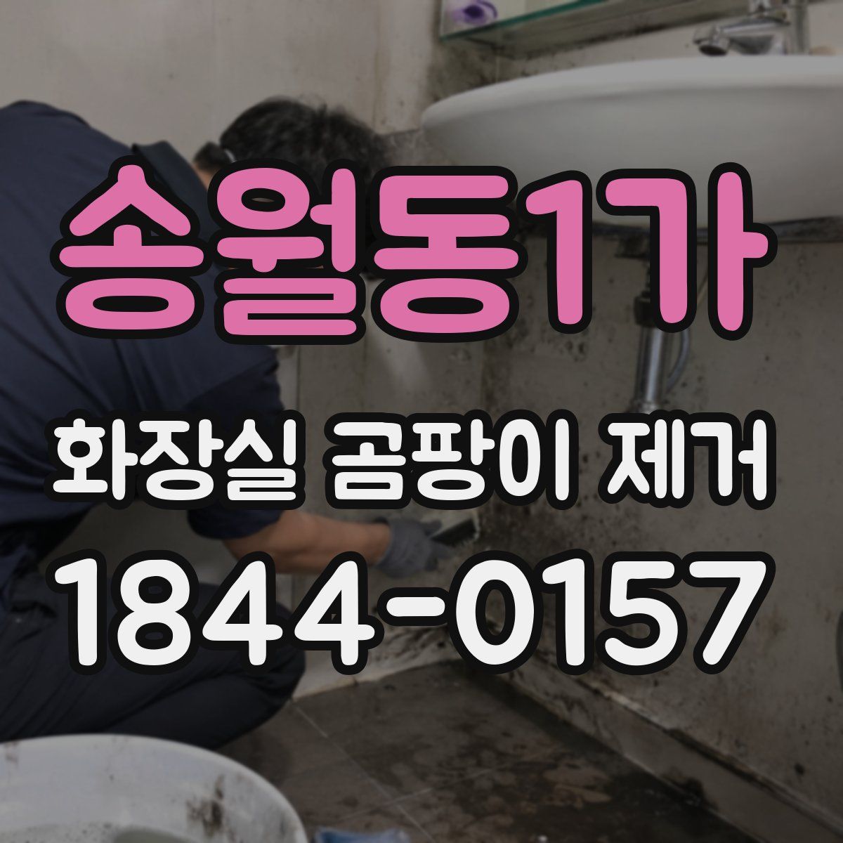 송월동1가 화장실 곰팡이 제거