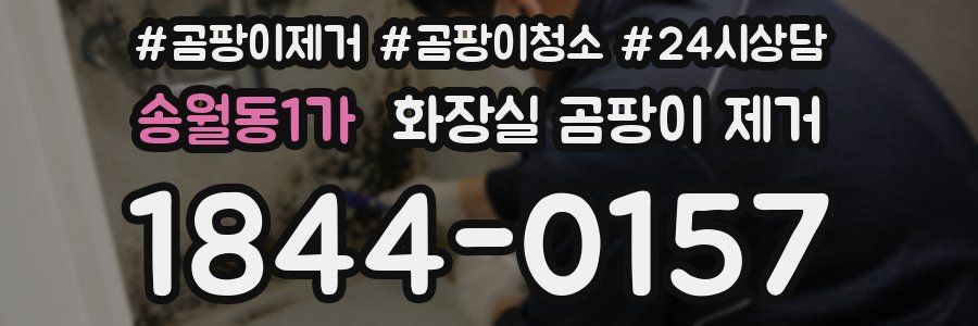 송월동1가 화장실 곰팡이 제거