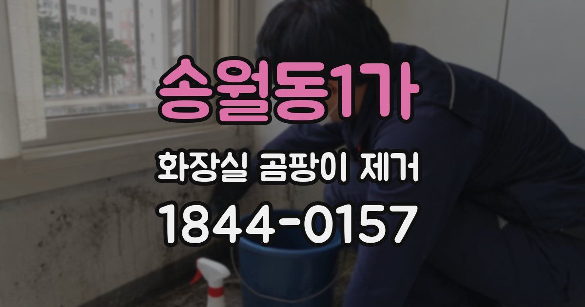 송월동1가 화장실 곰팡이 제거