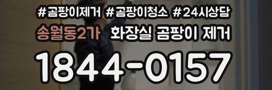 송월동2가 화장실 곰팡이 제거