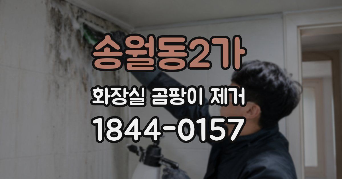 송월동2가 화장실 곰팡이 제거