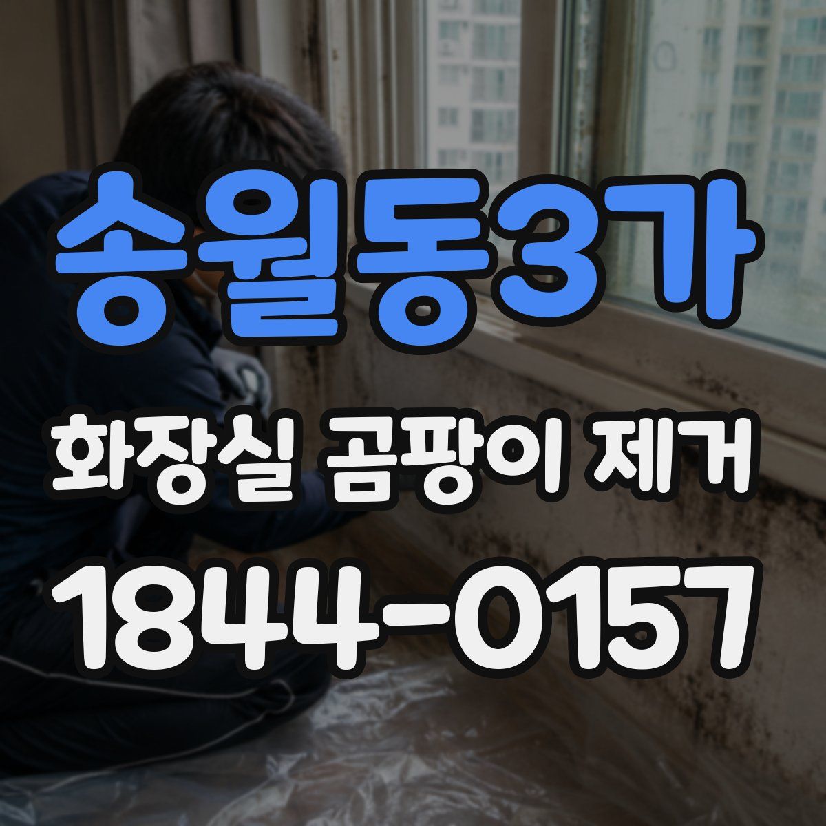 송월동3가 화장실 곰팡이 제거