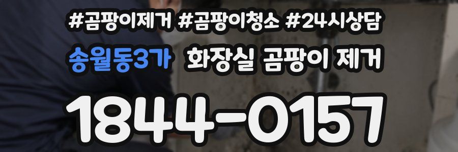 송월동3가 화장실 곰팡이 제거