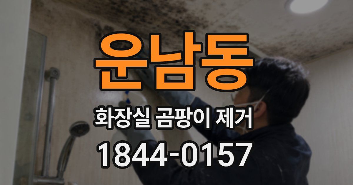 운남동 화장실 곰팡이 제거