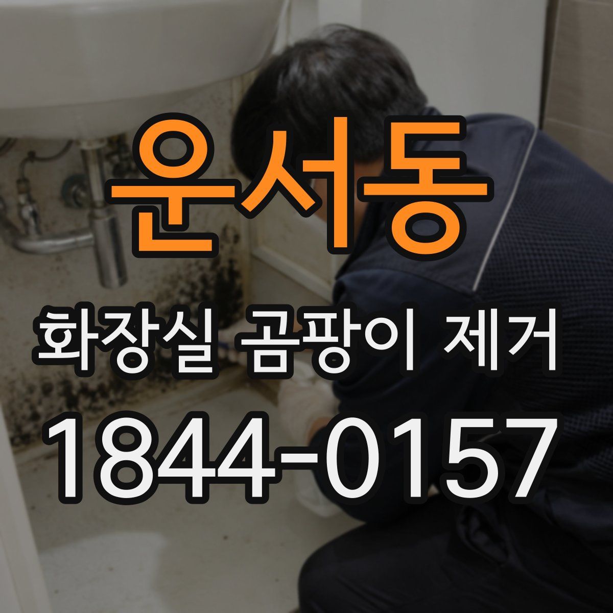 운서동 화장실 곰팡이 제거