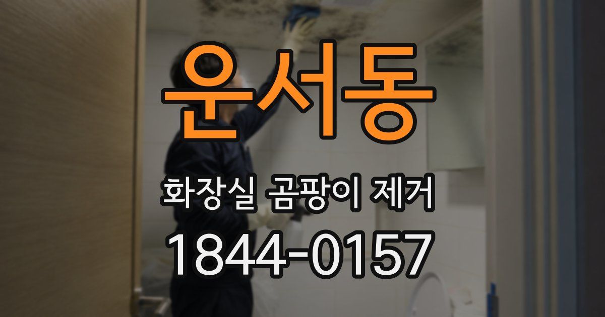 운서동 화장실 곰팡이 제거