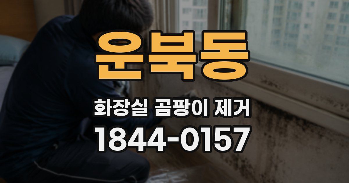 운북동 화장실 곰팡이 제거