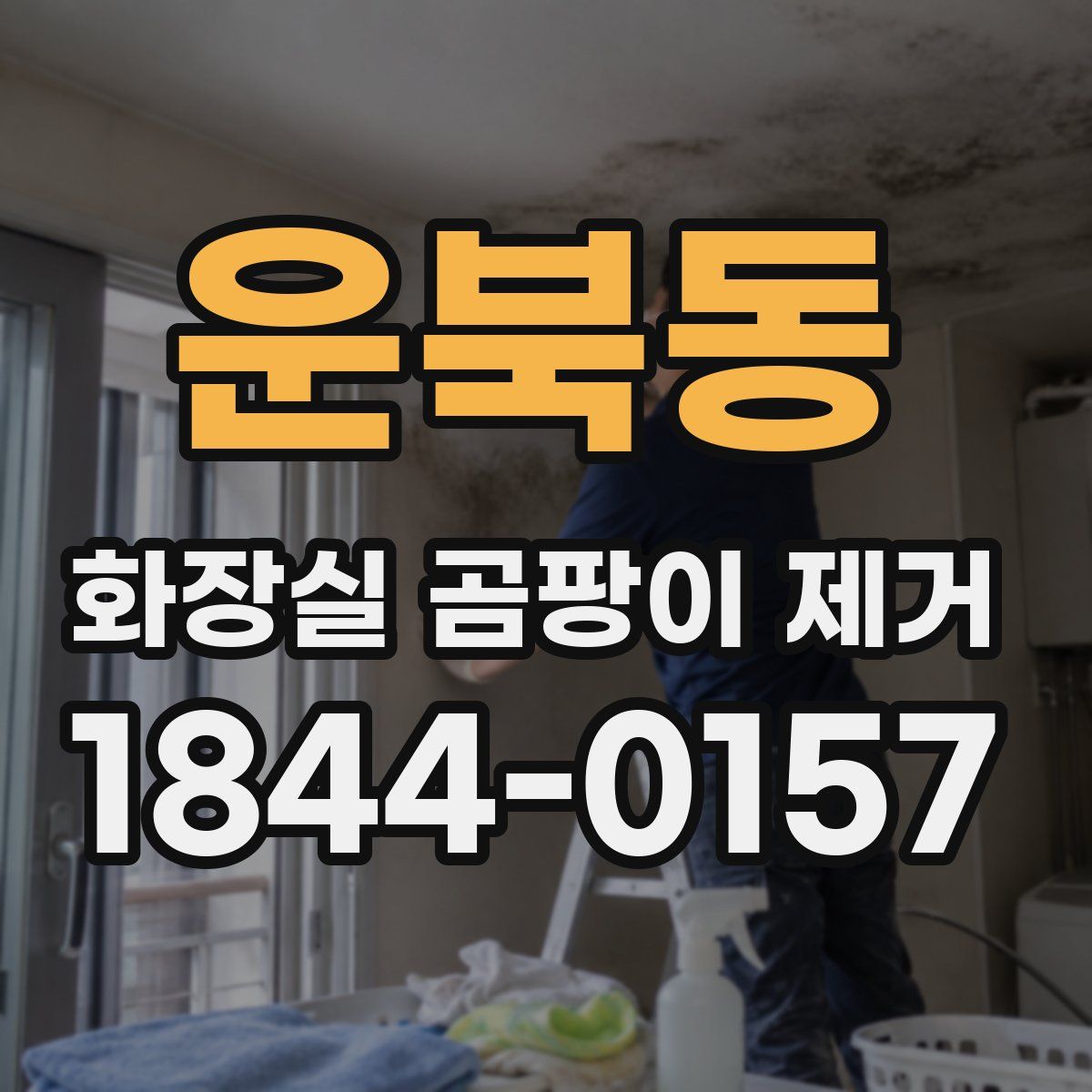 운북동 화장실 곰팡이 제거