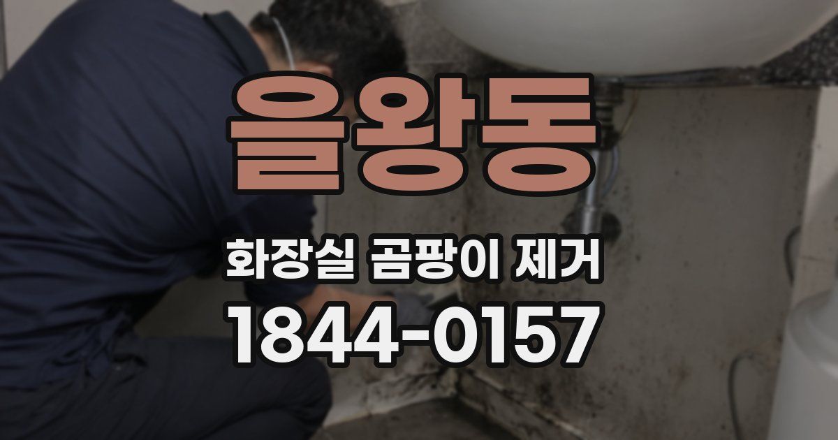 을왕동 화장실 곰팡이 제거