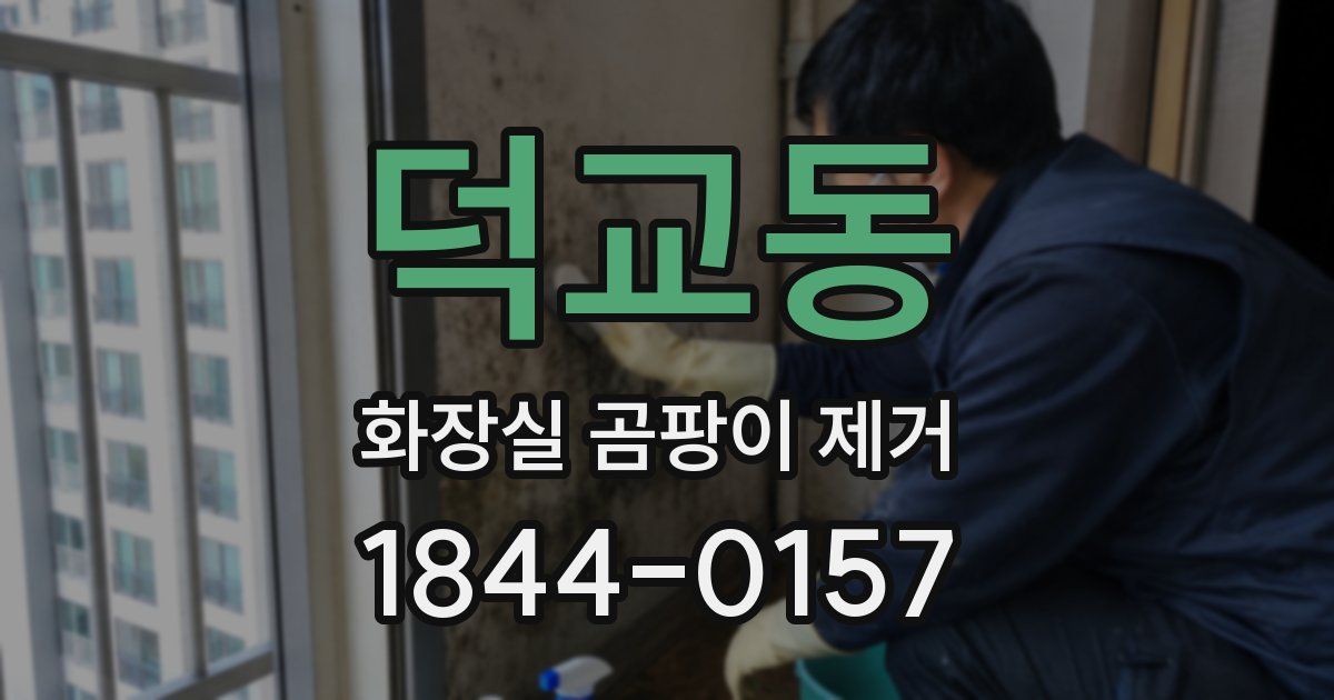 덕교동 화장실 곰팡이 제거