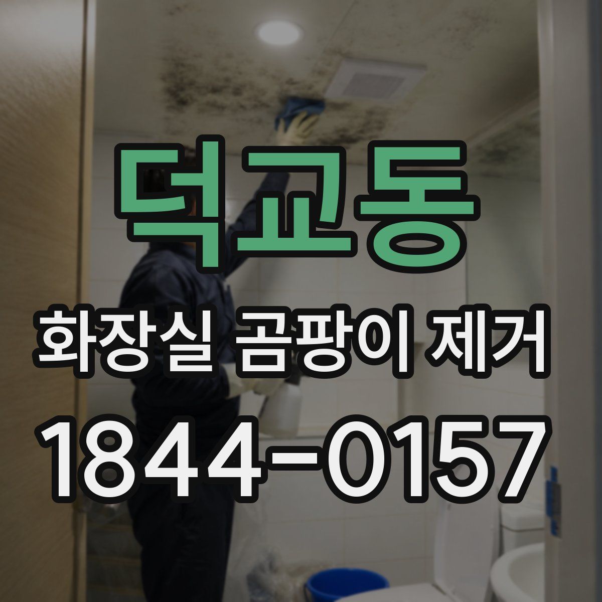 덕교동 화장실 곰팡이 제거
