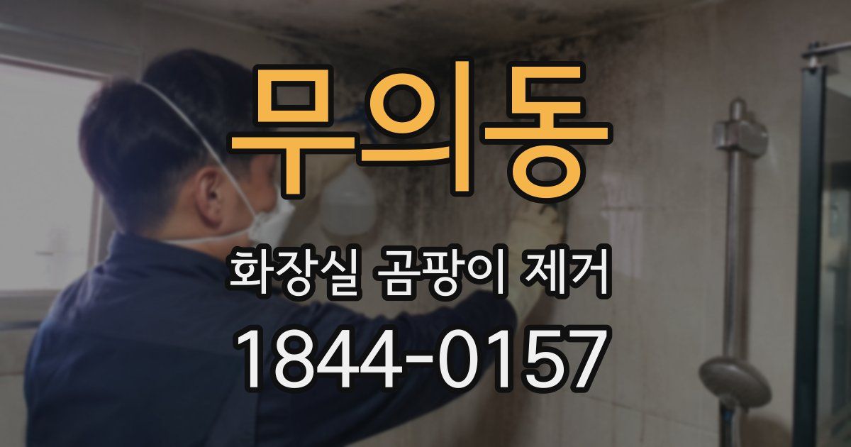 무의동 화장실 곰팡이 제거