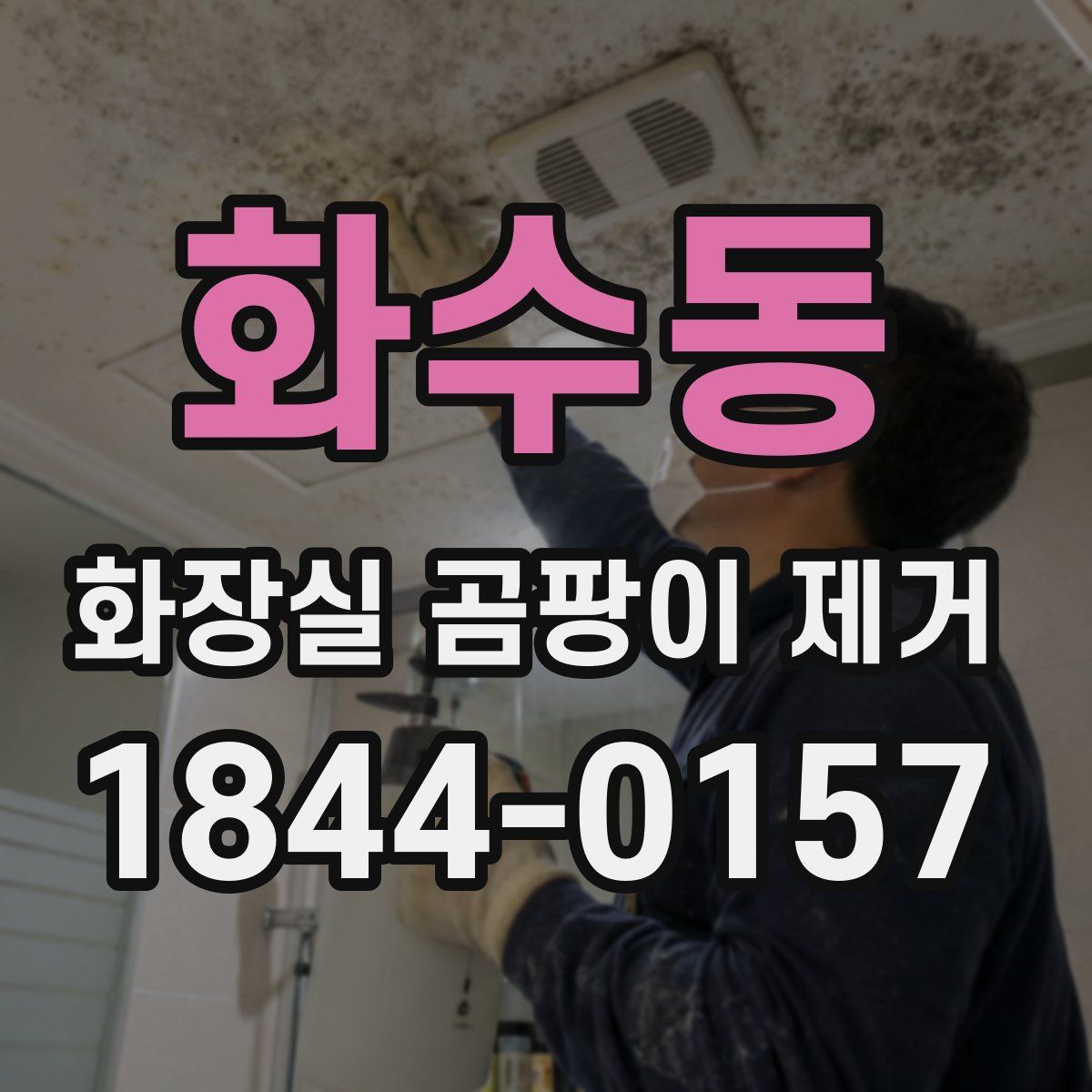 화수동 화장실 곰팡이 제거