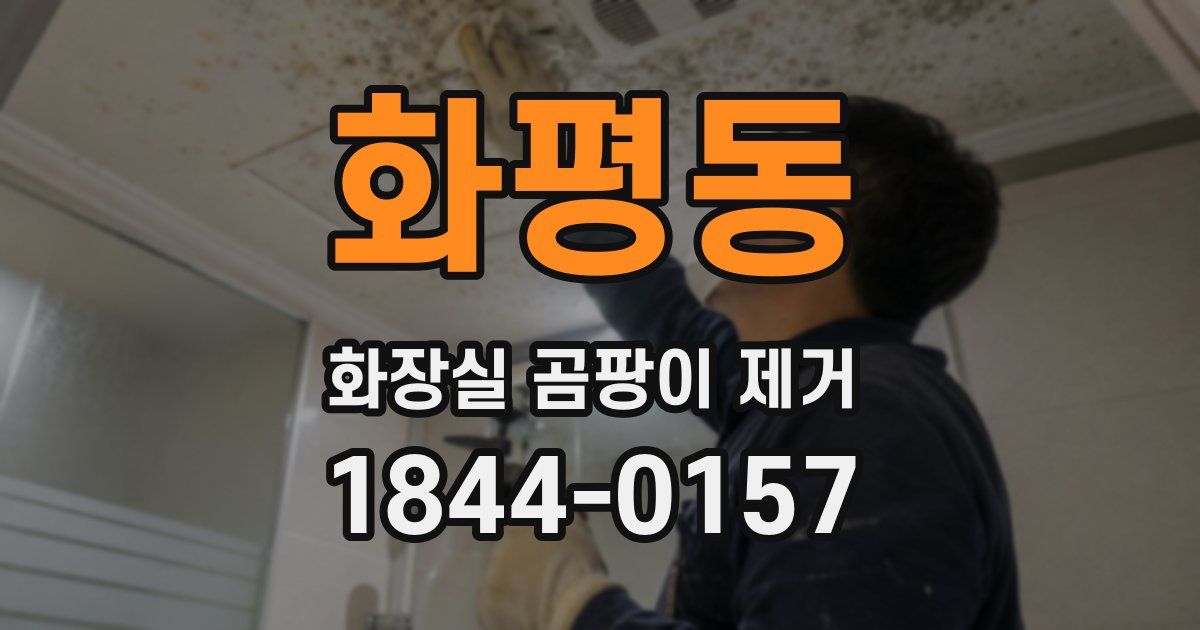 화평동 화장실 곰팡이 제거