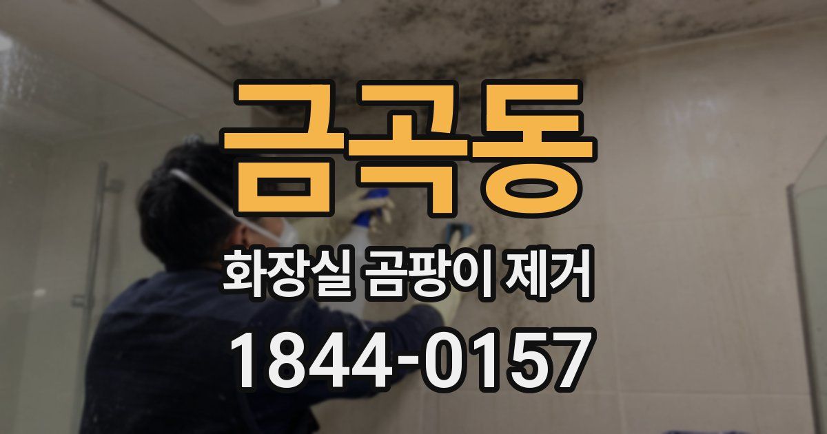 금곡동 화장실 곰팡이 제거