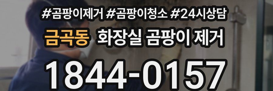 금곡동 화장실 곰팡이 제거