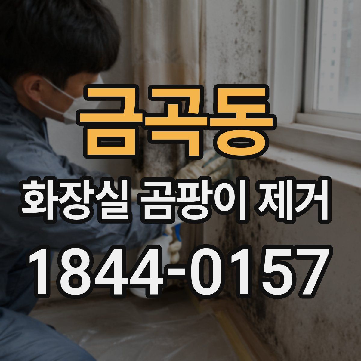 금곡동 화장실 곰팡이 제거