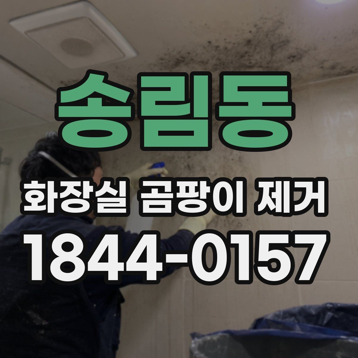 송림동 화장실 곰팡이 제거 셀프 청소와 전문 작업 차이 살펴보기