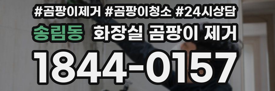 송림동 화장실 곰팡이 제거