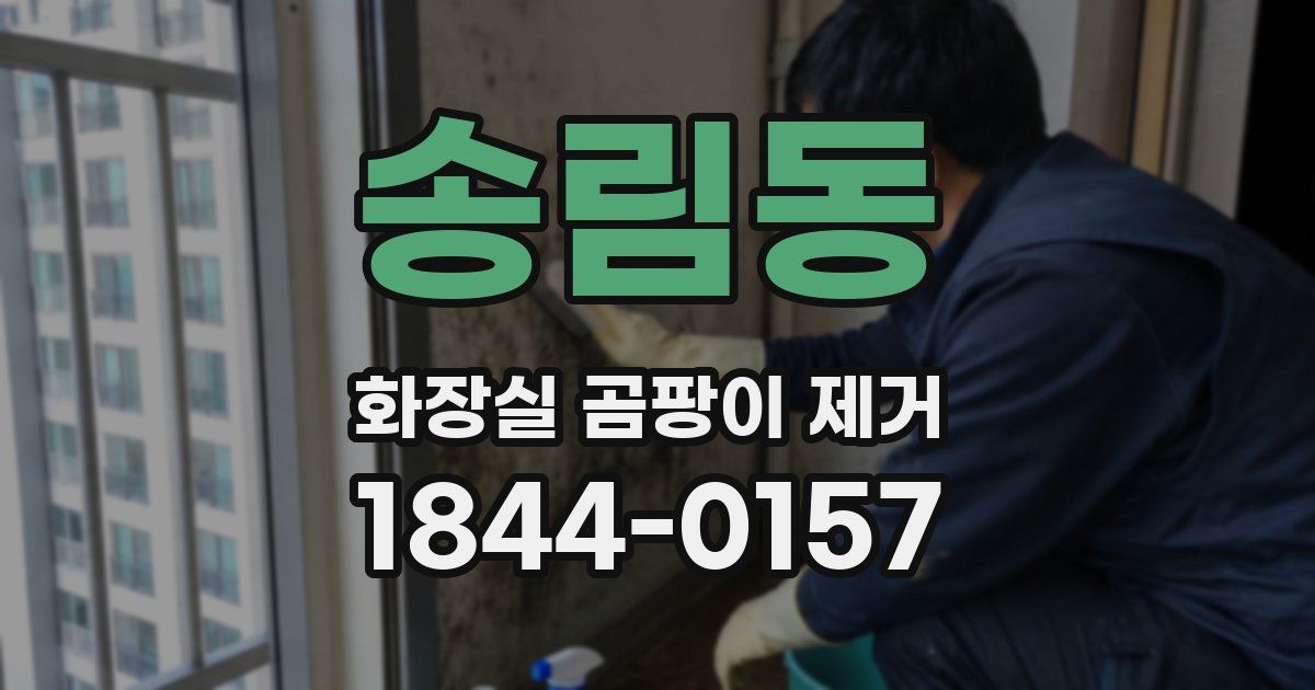 송림동 화장실 곰팡이 제거