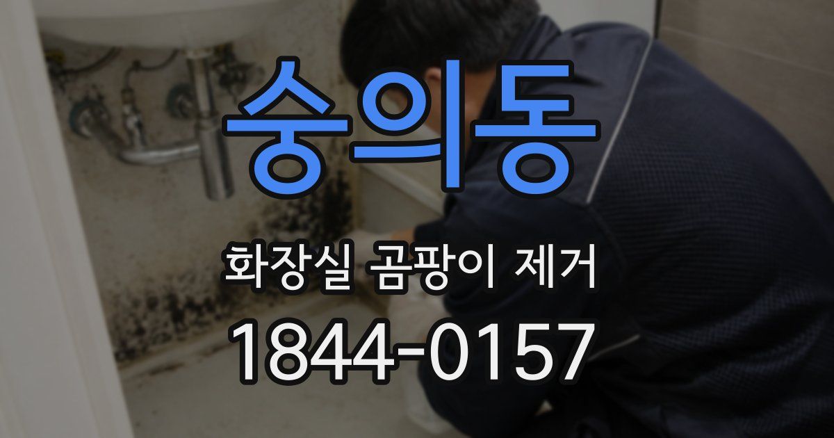 숭의동 화장실 곰팡이 제거