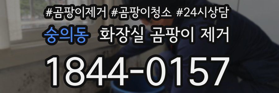 숭의동 화장실 곰팡이 제거