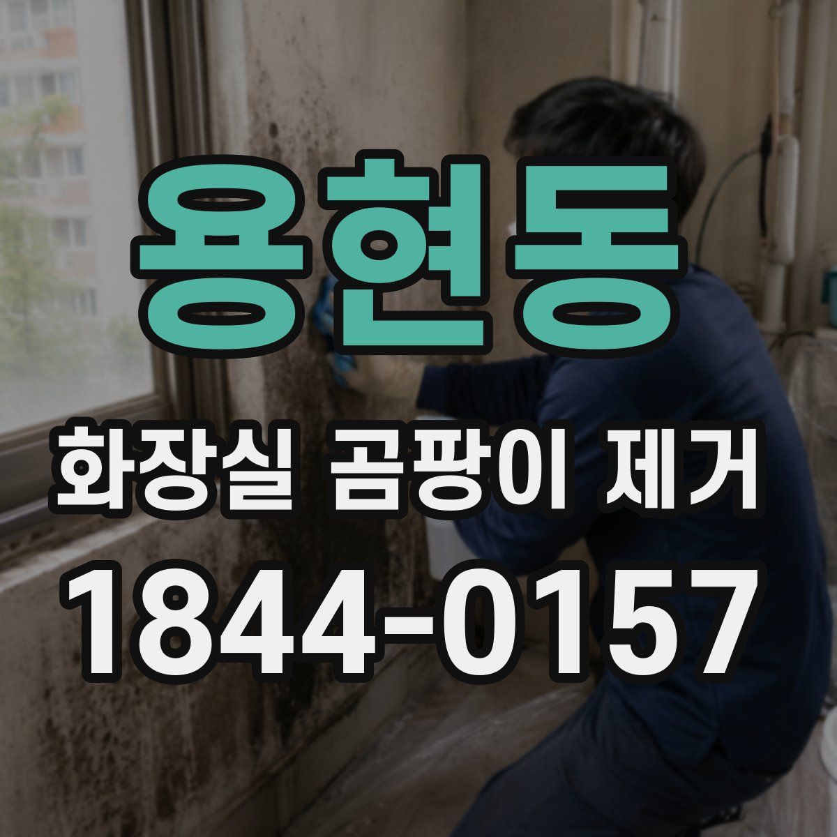 용현동 화장실 곰팡이 제거