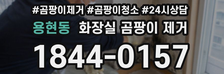 용현동 화장실 곰팡이 제거