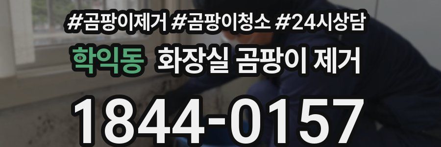 학익동 화장실 곰팡이 제거