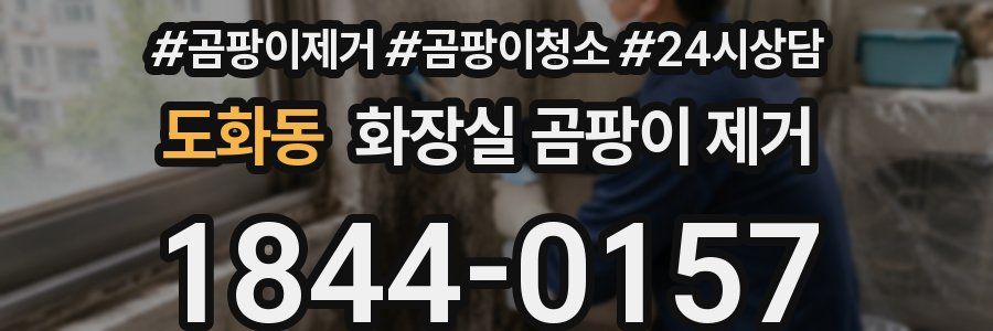 도화동 화장실 곰팡이 제거