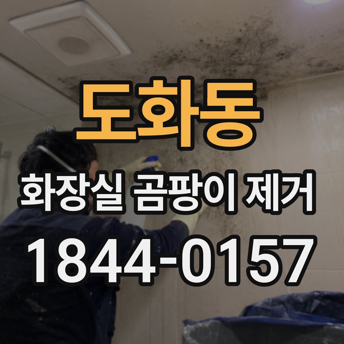 도화동 화장실 곰팡이 제거
