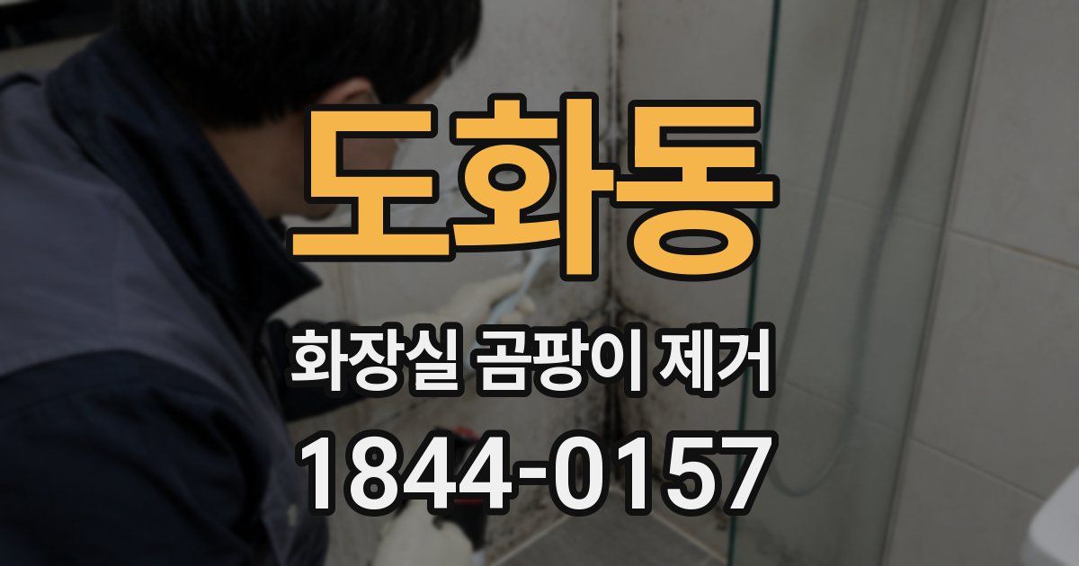 도화동 화장실 곰팡이 제거