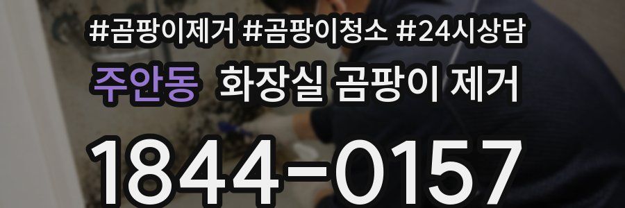 주안동 화장실 곰팡이 제거