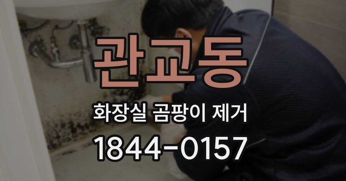 관교동 화장실 곰팡이 제거