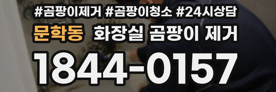 문학동 화장실 곰팡이 제거