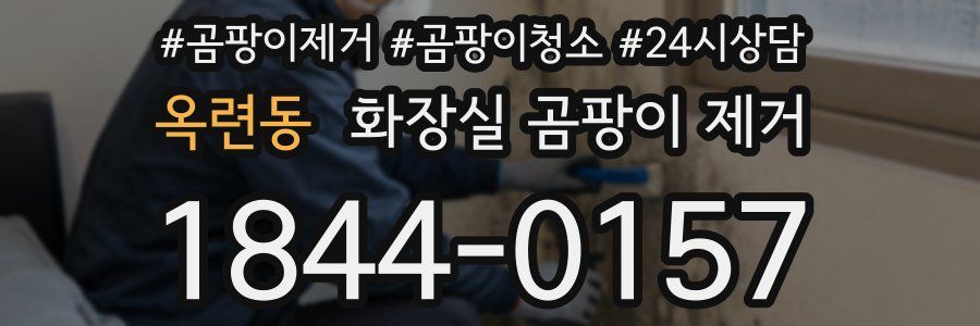 옥련동 화장실 곰팡이 제거