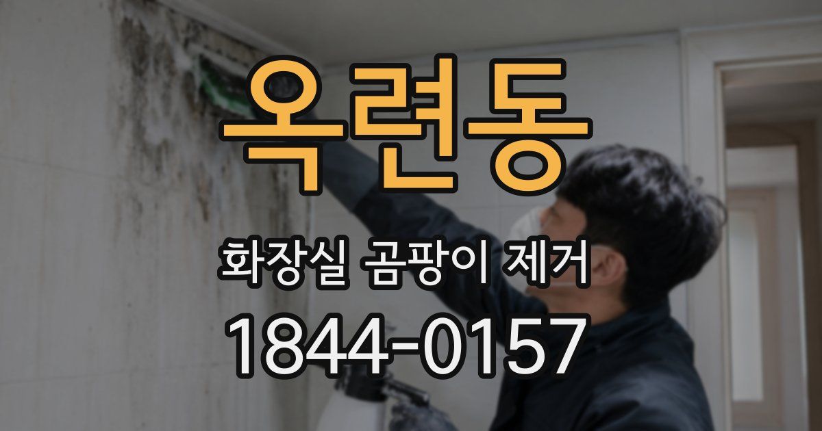 옥련동 화장실 곰팡이 제거