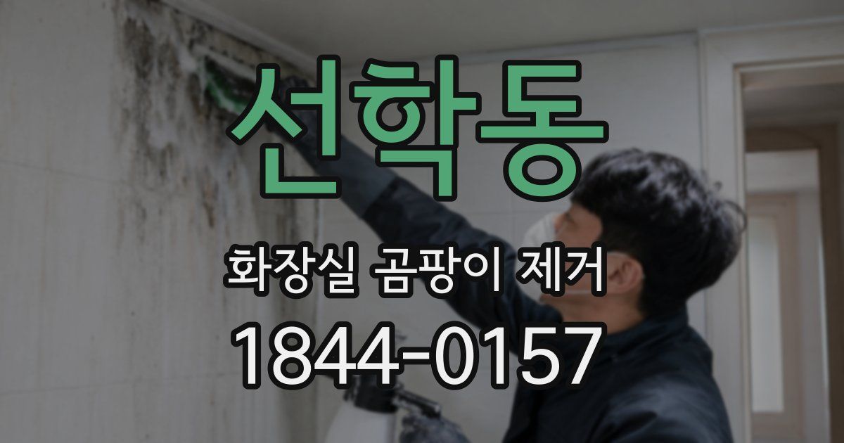 선학동 화장실 곰팡이 제거