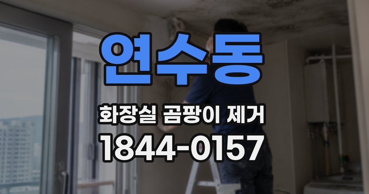 연수동 화장실 곰팡이 제거