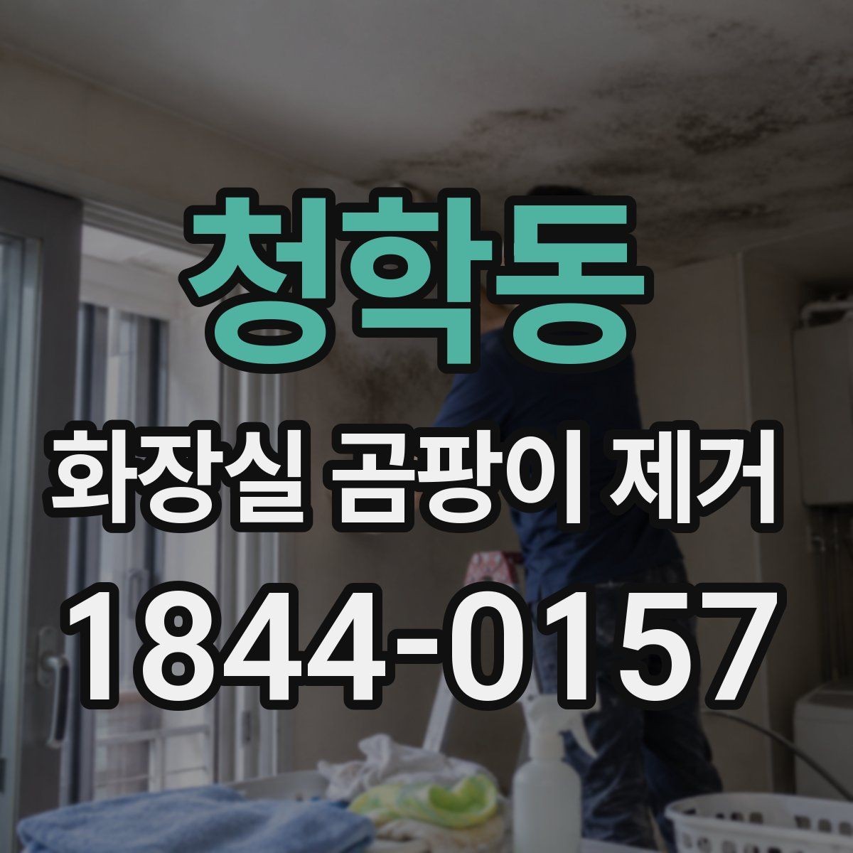 청학동 화장실 곰팡이 제거 뒤 방수층 이상을 의심해야 하는 신호